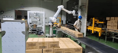 Kann der Roboter bei der automatisierten Palettierung jedes Objekt greifen?