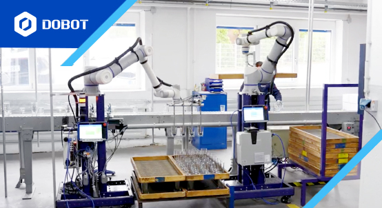 Automatisierung der Glasveredelung mit DOBOT Cobots